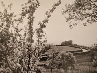 Okolica Zagreba - Proljeće (Foto Tošo Dabac)